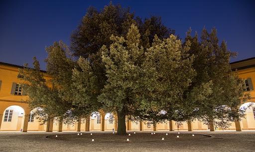 cortile del leccio